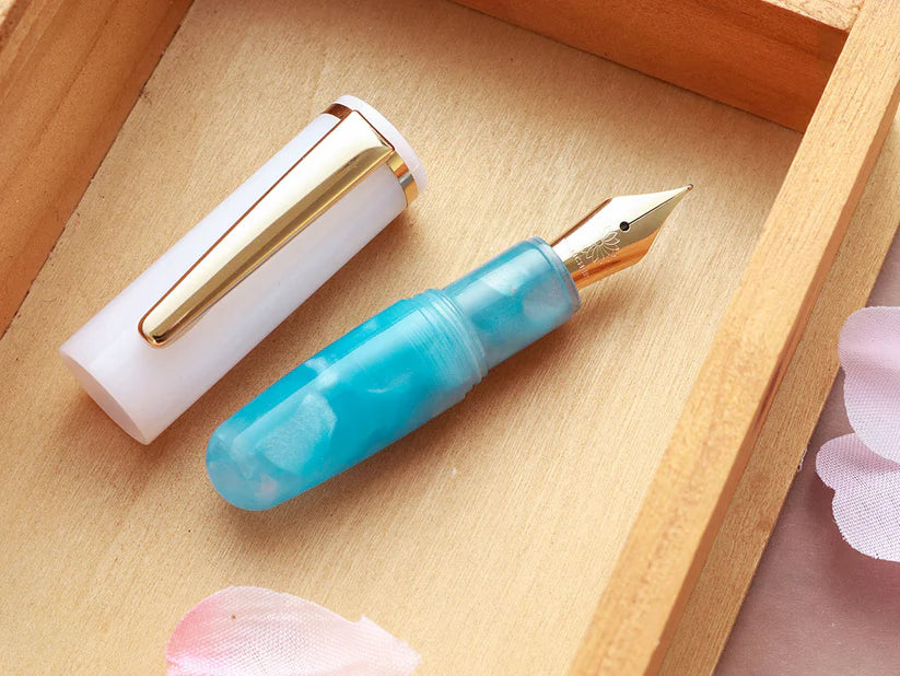 Wancher PuChiCo Fountain Pen