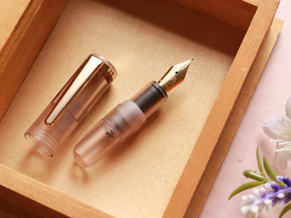 Wancher PuChiCo Fountain Pen