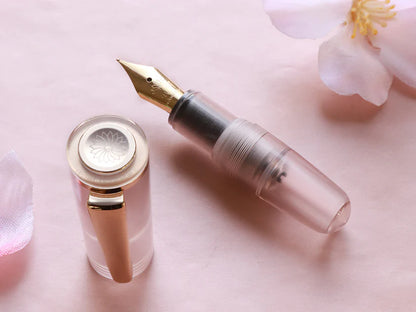Wancher PuChiCo Fountain Pen