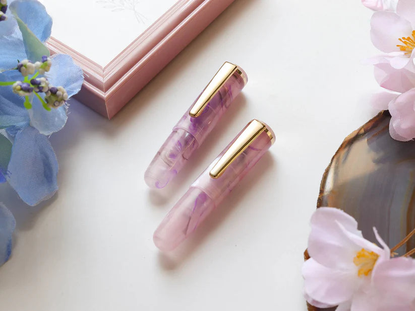 Wancher PuChiCo Fountain Pen