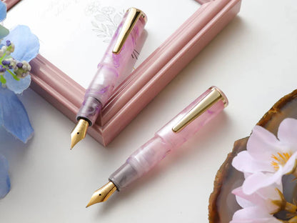 Wancher PuChiCo Fountain Pen