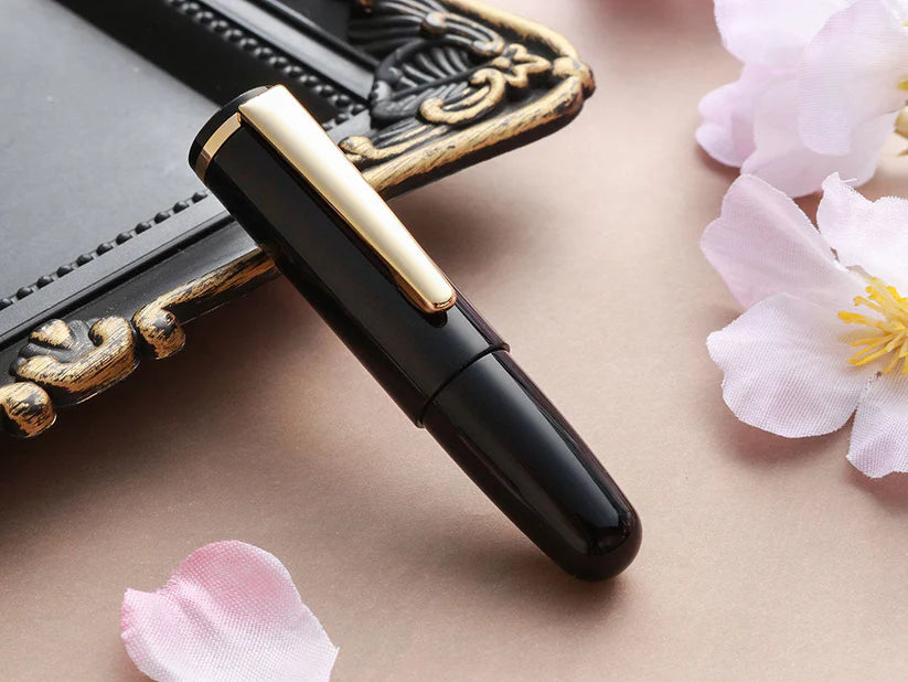 Wancher PuChiCo Fountain Pen