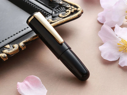 Wancher PuChiCo Fountain Pen