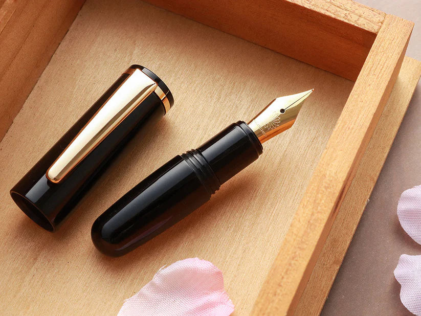 Wancher PuChiCo Fountain Pen