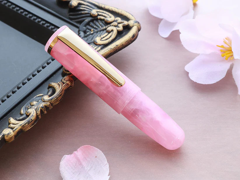 Wancher PuChiCo Fountain Pen