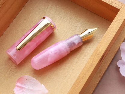 Wancher PuChiCo Fountain Pen