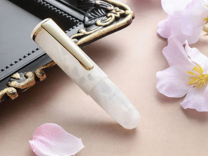 Wancher PuChiCo Fountain Pen