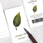 Wearingeul Leaf 3 Types Swatch Cards (50 sheets)