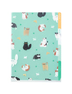 Midori Clear Folder 3 Pockets (A5)
