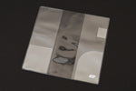 Hobonichi Clear Covers & Cover on Covers