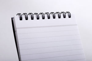 Field Notes Front Page Reporter's Notebook (2-Pack)