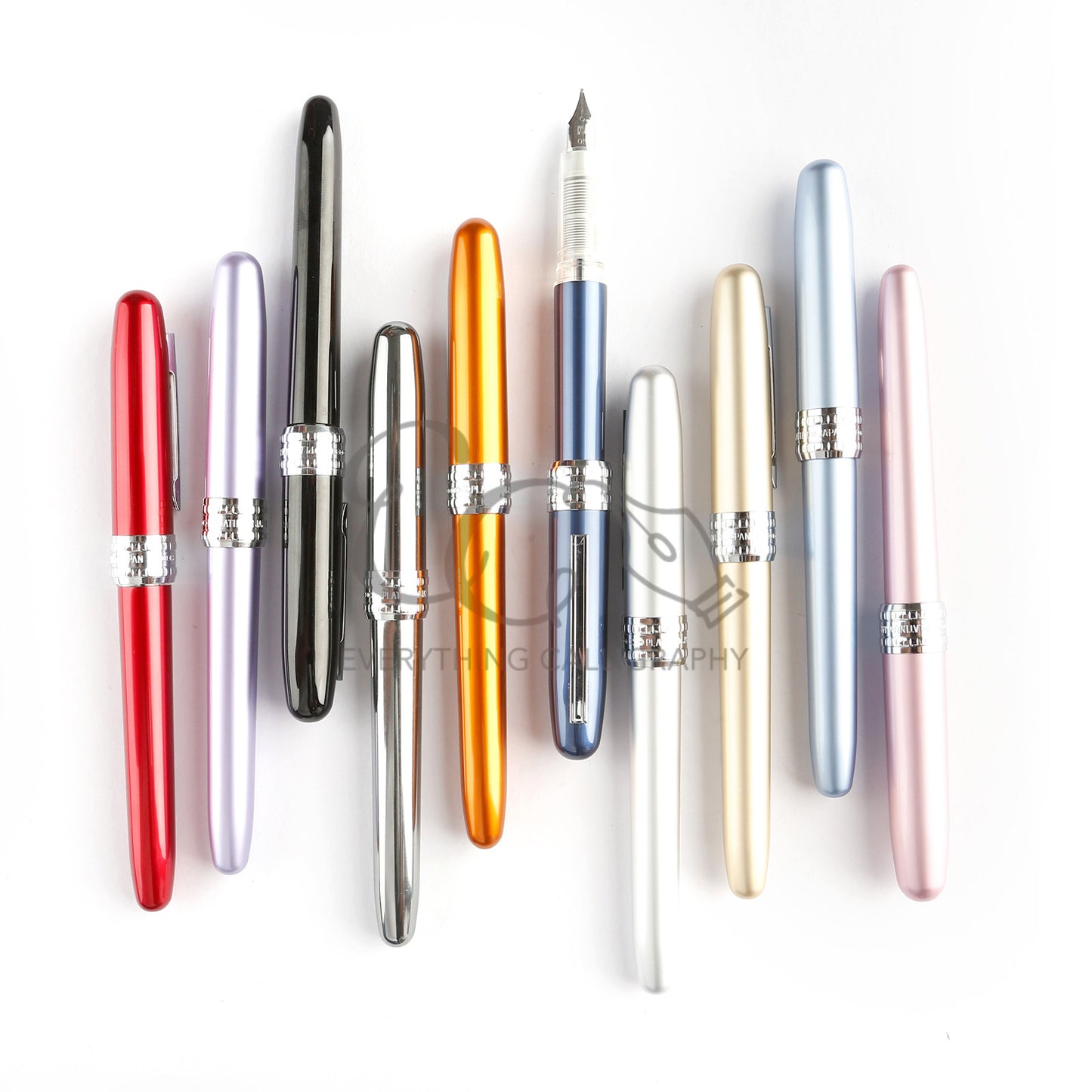 Platinum Plaisir Fountain Pen