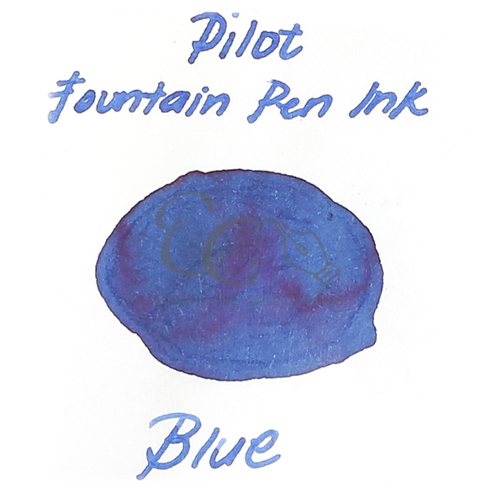 Pilot Fountain Pen Ink (30ml)