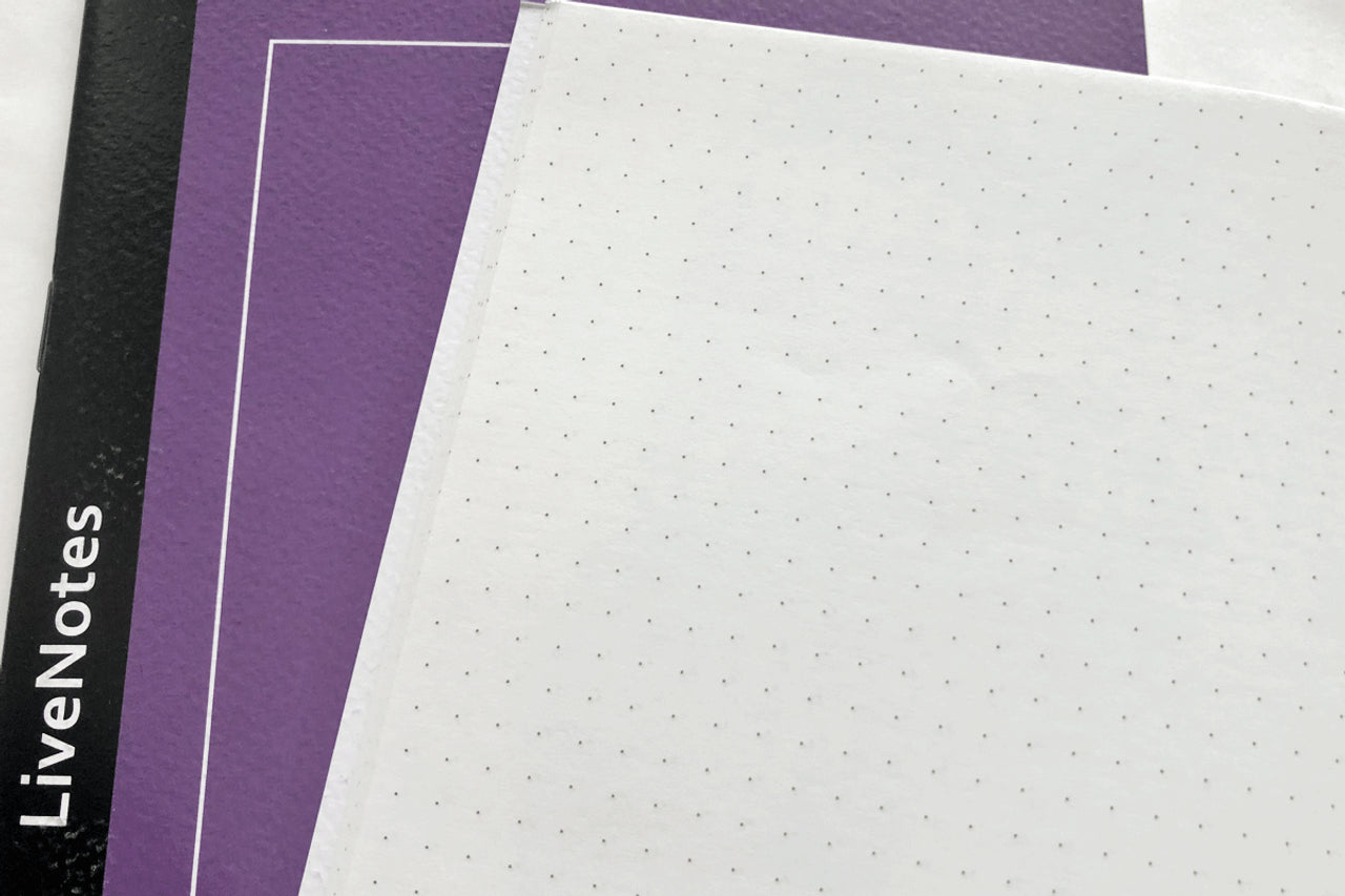 LiveNotes A5 Purple Manggis Notebook (Dot Grid)