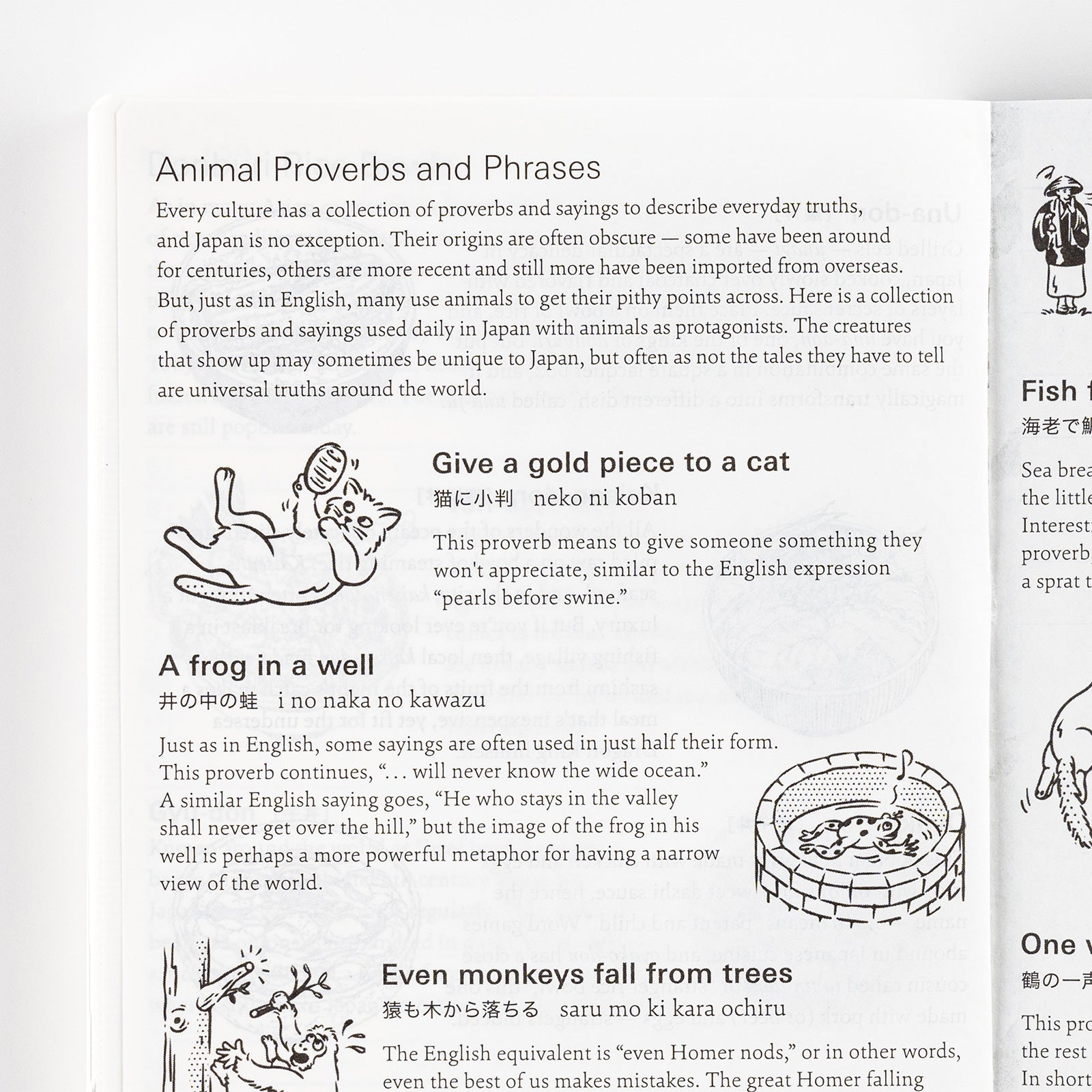 Hobonichi Techo Planner Book [Eng / A6 / Jan Start / Mon Start]