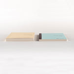 Hobonichi Techo Cousin Avec Books [JPN / A5 / Jan Start / Mon Start / 6 Months x 2]